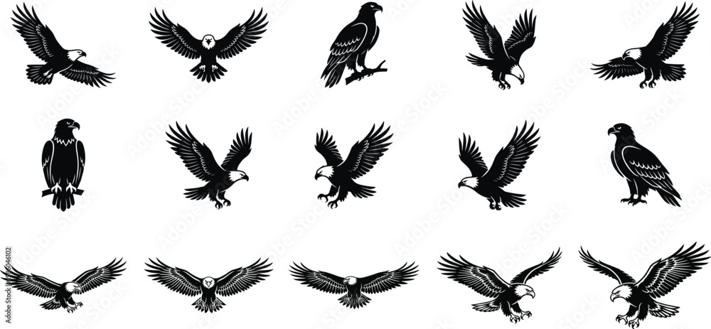 Fototapeta premium Collection of eagle silhouettes in flight and perched positions, detailed black bird vector set, spread wings predator icons for logos, tattoos, wildlife and design use