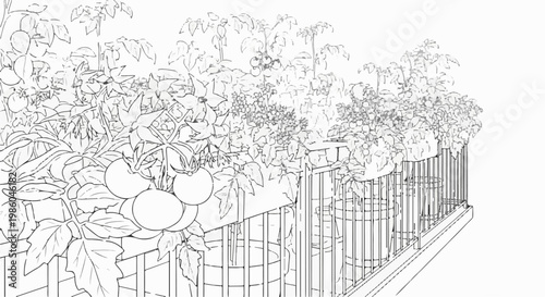 Row of tomato plants with ripe fruit growing in containers on a railing