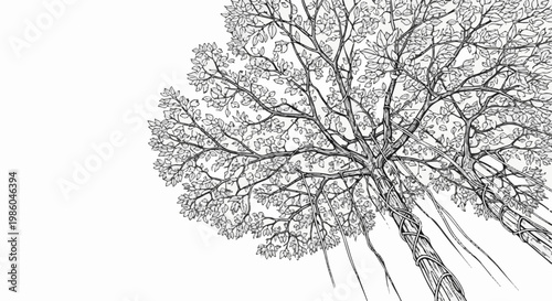 Stylized black and white illustration of a dense tree canopy with aerial roots