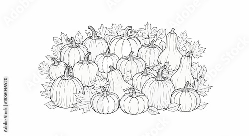 A black and white sketch of a variety of pumpkins and gourds nestled among autumn leaves