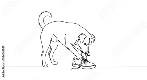 Dog playing with shoelaces on white background  