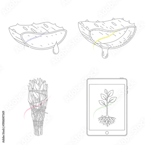 Sliced aloe vera plant with dripping gel, sage bundle with colorful ribbons, tablet displaying plant with roots, representing natural remedies, wellness, and digital learning.