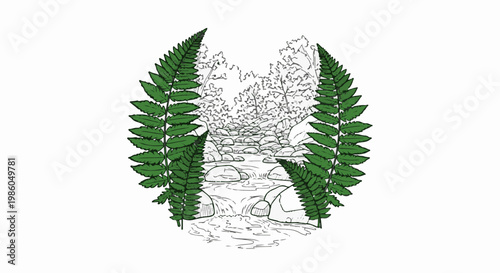 Lush green ferns frame a rocky stream flowing through a forest