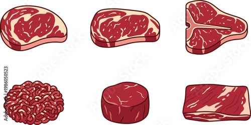 Raw beef steak cuts and ground meat set, butcher shop icons for grilling and cooking, vector illustration