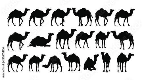 A collection of black silhouettes depicting various camels in different poses and arrangements high quality professional