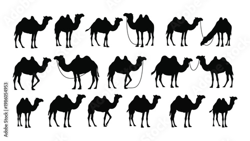 A collection of black silhouette illustrations depicting various poses of dromedary camels high quality professional detailed