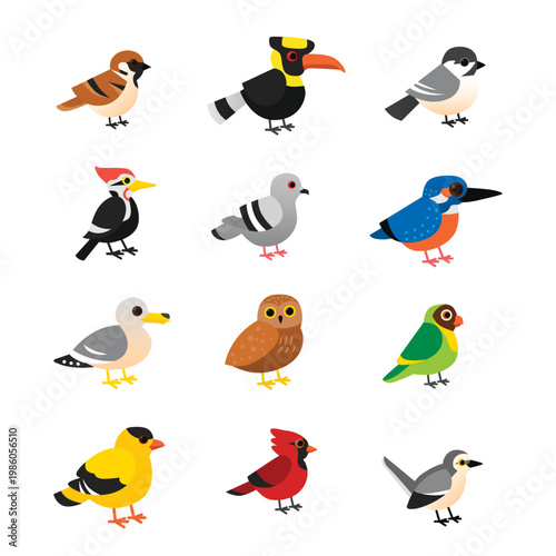 A collection of twelve different bird species illustrated in a cartoon style