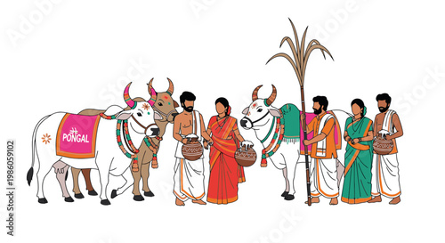 Indian farmers in traditional attire with decorated bulls and sugarcane during Pongal festival celebration