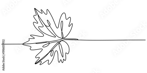 Minimalist single line art illustration of a maple leaf with intricate lobed edges and stem