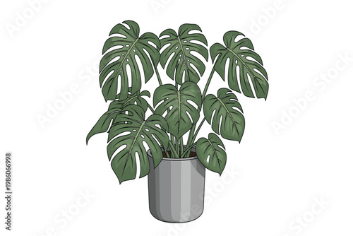 Monstera Deliciosa Plant in a Modern Pot, Lush Green Leaves, Isolated Vector Illustration