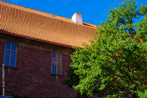 Canvas Print Traditional Orange Roof Tiles and Tree in Stockholm Sweden
