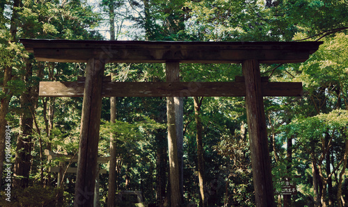 wood torri gate kumano kodo forest