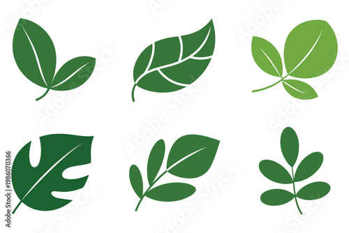 Six green leaf flat isolated on white background, leaves nature