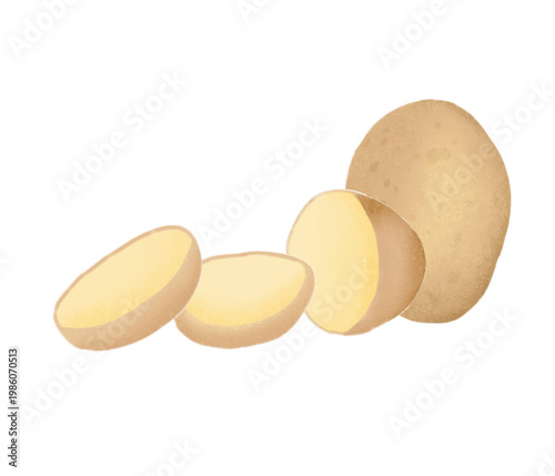 A clean and realistic digital illustration featuring a whole brown potato alongside several fresh slices.