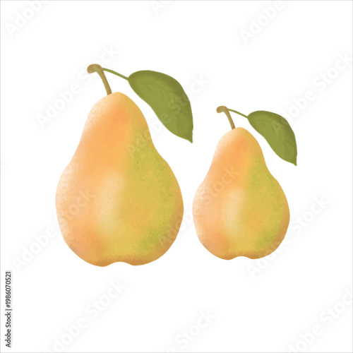 A soft and vibrant digital illustration featuring two fresh pears in warm yellow and green tones.