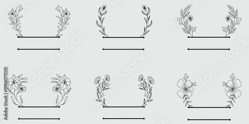 Botanical study a grid of nine detailed illustrations of various plant specimens with scale bars