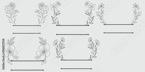 Botanical illustration series a collection of detailed plant specimen drawings in a grid layout
