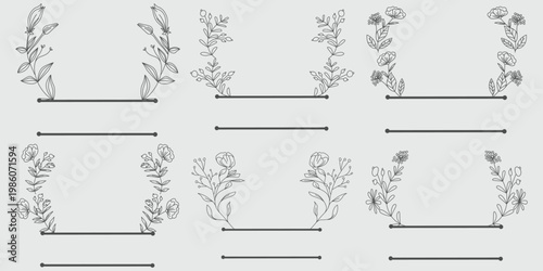 Botanical study a grid of nine detailed plant illustrations with horizontal bars