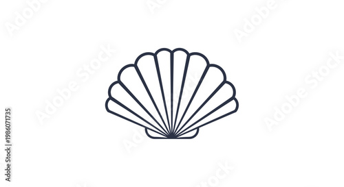 Detailed illustration of a scallop shell.