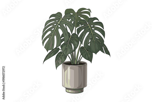 Monstera Deliciosa Plant in a Modern Pot, Lush Green Leaves, Isolated Vector Illustration