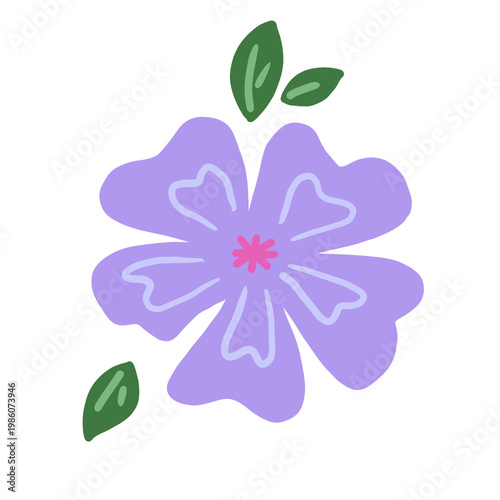 Lilac Flower Illustration