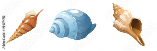 Shells are arranged on a simple white background showing different shapes and colors for sea life study