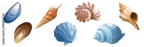 Different types of shells displayed together on a flat surface in a close-up view showing their shapes and colors