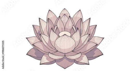 Delicate pink lotus flower illustration, symbolizing purity, enlightenment, and rebirth, with detailed petals and a soft watercolor effect.