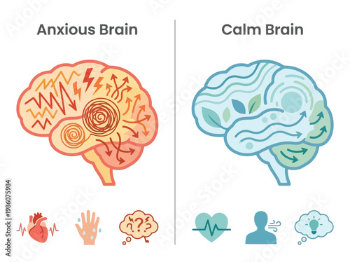 Vector illustration of anxious vs calm brain comparison