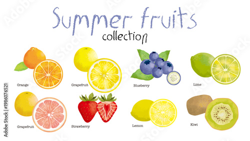 Hand drawn style collection of summer fruits