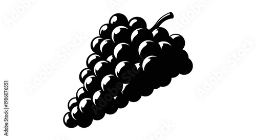 Fruites Black grapes bunch, grape cluster illustration, fruit icon, vector graphics isolated on White Background vactor EPS