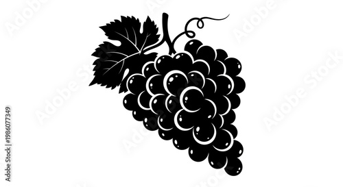 Fruites Black silhouette grape cluster, vine illustration, fruit icon, vector graphic isolated on White Background vactor EPS