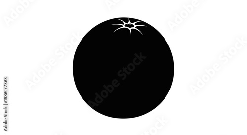 Fruites Black circle, solar eclipse, sun behind, vector graphic, astronomy symbol isolated on White Background vactor EPS