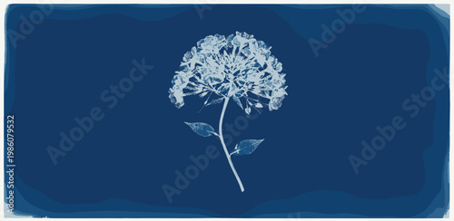Artistic Cyanotype Print of a Lush Floral Cluster in Full Bloom, Exhibiting Vintage Aesthetic with Intricate Petal Details Against a Deep Blue Botanical Background