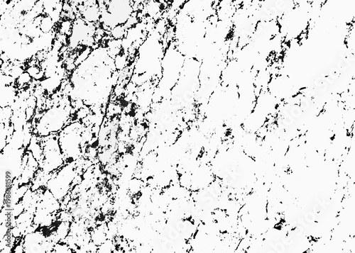 Abstract black and white texture resembling cracked earth or marble