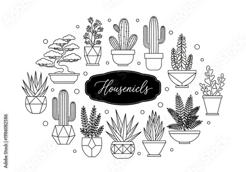 Minimalist Houseplant Line Art Collection Featuring Cacti, Succulents, and Bonsai Trees in Geometric Pots for Coloring or Home Decor
