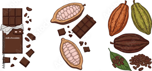 Cacao and Chocolate Ingredient Illustration Set with Cocoa Pods Beans and Chocolate Bars for Dessert Production and Food Ingredient Design Collection