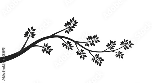 Black silhouette of a tree branch.