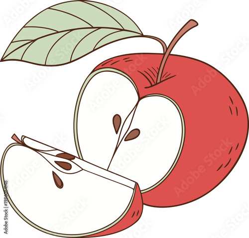 Vintage red apple vector illustration, hand drawn fruit with green leaf and slice, organic food sketch for kitchen decor and grocery branding