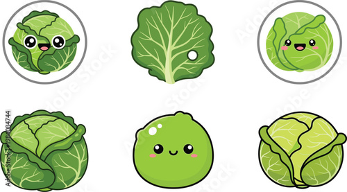 Cute Cabbage and Lettuce Cartoon Character Set with Different Vegetable Styles and Happy Expressions for Healthy Food Illustration and Kids Mascot Design Collection
