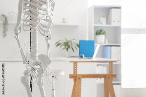 Human skeleton model in lig...