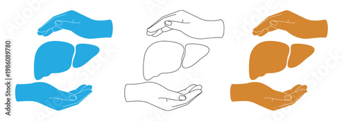 Liver organ icon set with hand offering vector illustration