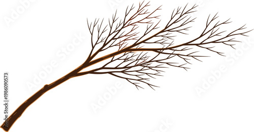 Detailed vector illustration of a bare tree branch without leaves featuring intricate twig details and brown bark textures isolated on a white background.