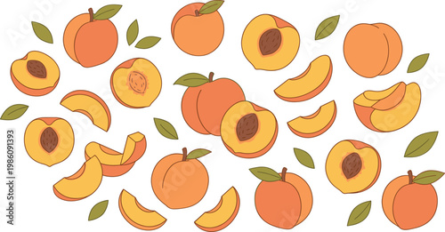 Peach Fruit Vector Set with Whole and Sliced Juicy Pieces and Leaves for Summer Food Design, Fresh Organic Products, Healthy Eating, and Dessert Concepts