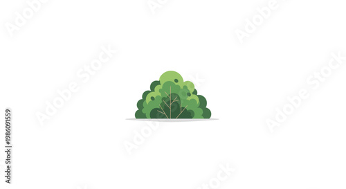 Illustration of a small green bush with layered leaves on white background last2026.