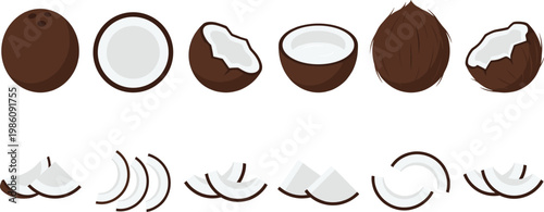 Coconut Vector Set with Whole, Half, and Sliced Pieces Showing Tropical Fruit Variations for Organic Food Design, Healthy Lifestyle, and Exotic Ingredient Concepts