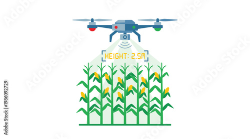Advanced drone hovers above a corn field with a digital interface overlay displaying precise height measurements in a clean flat vector graphic illustration style.