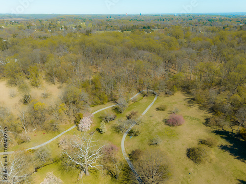 Tranquil Park Scene in Spring Season