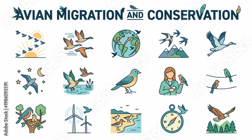 Avian Migration And Conservation Icons Set