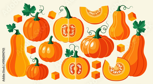 Autumn pumpkin vector collection, flat orange squash and butternut varieties, set of whole and sliced pumpkins for fall harvest design